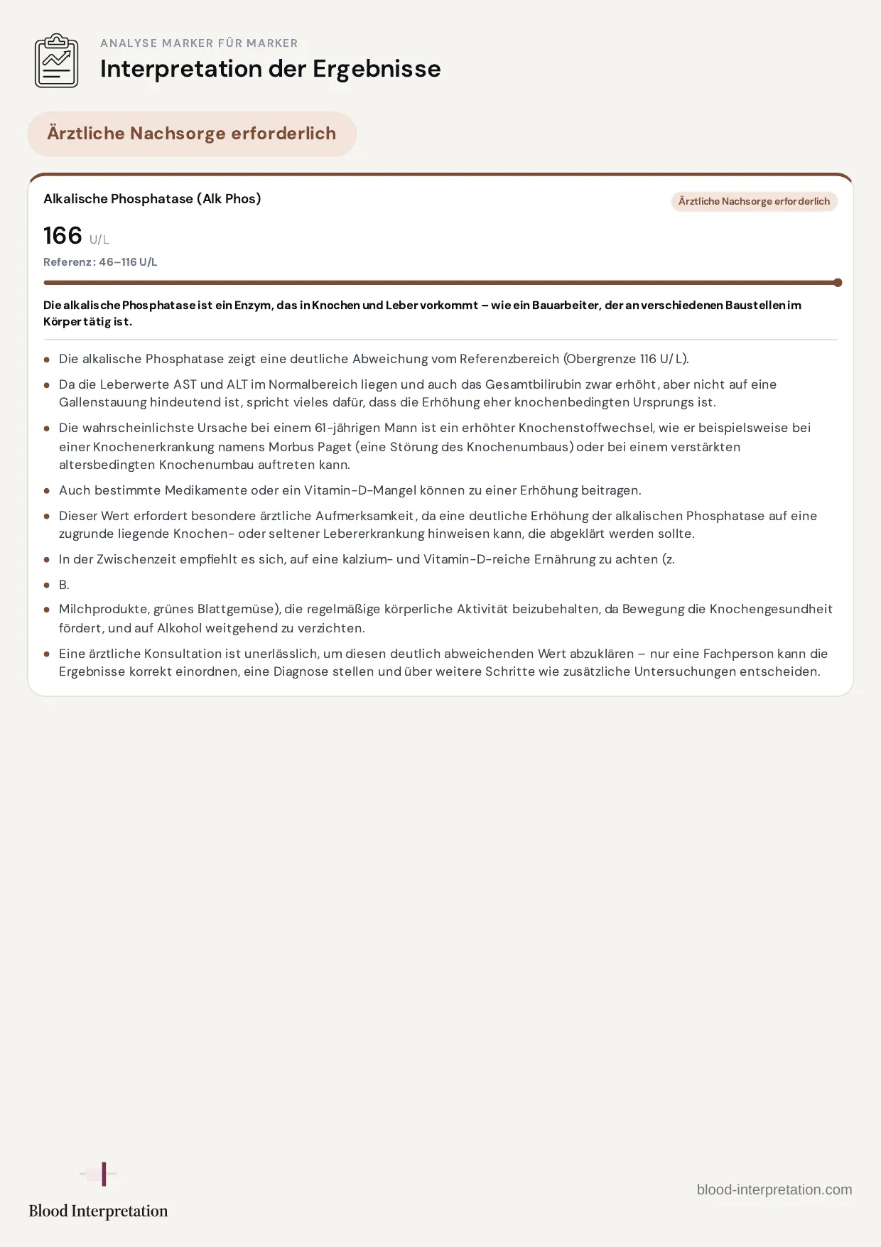 Beispielbericht, Seite 5 von 23