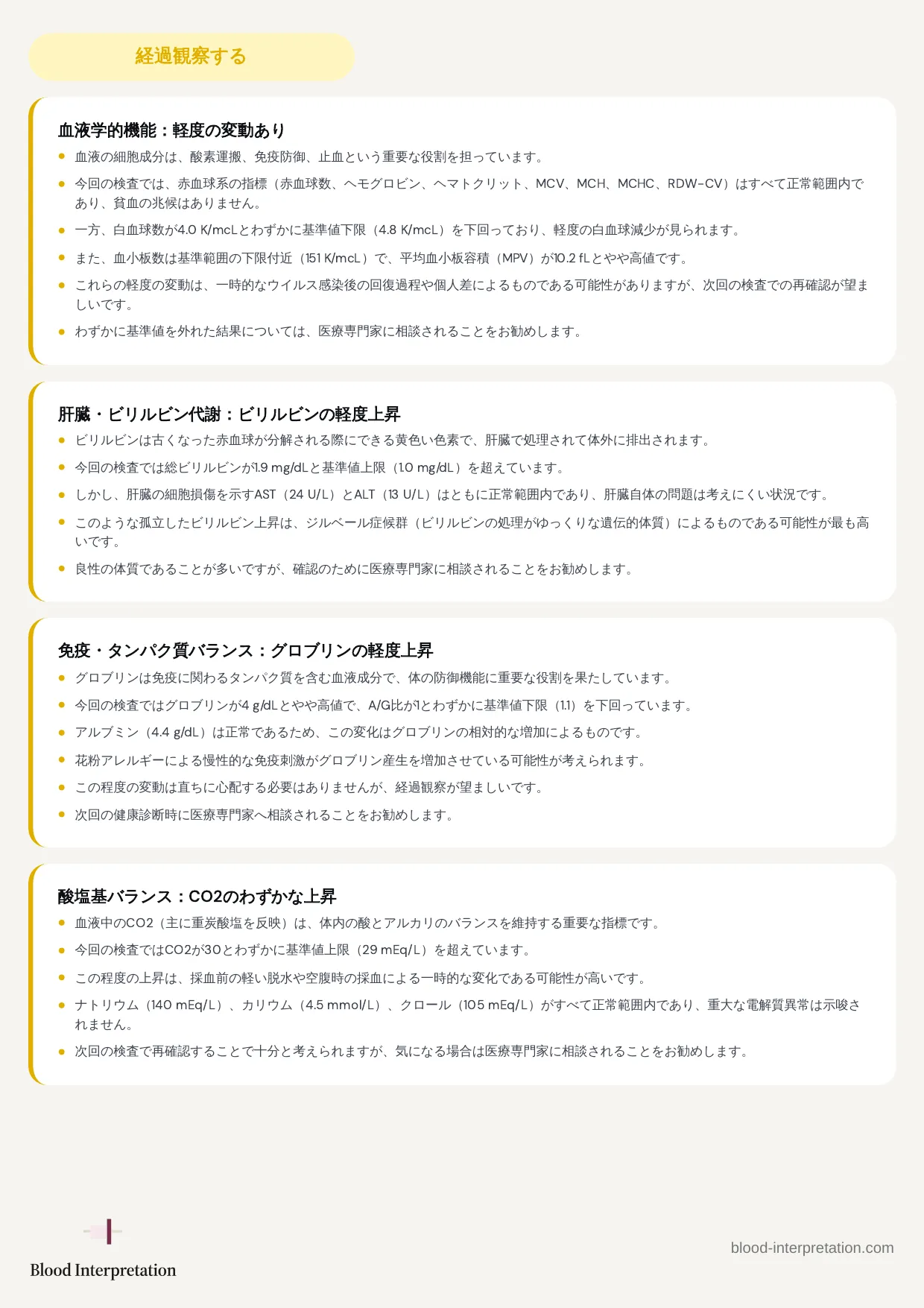 レポートの見本、20ページ中3ページ目