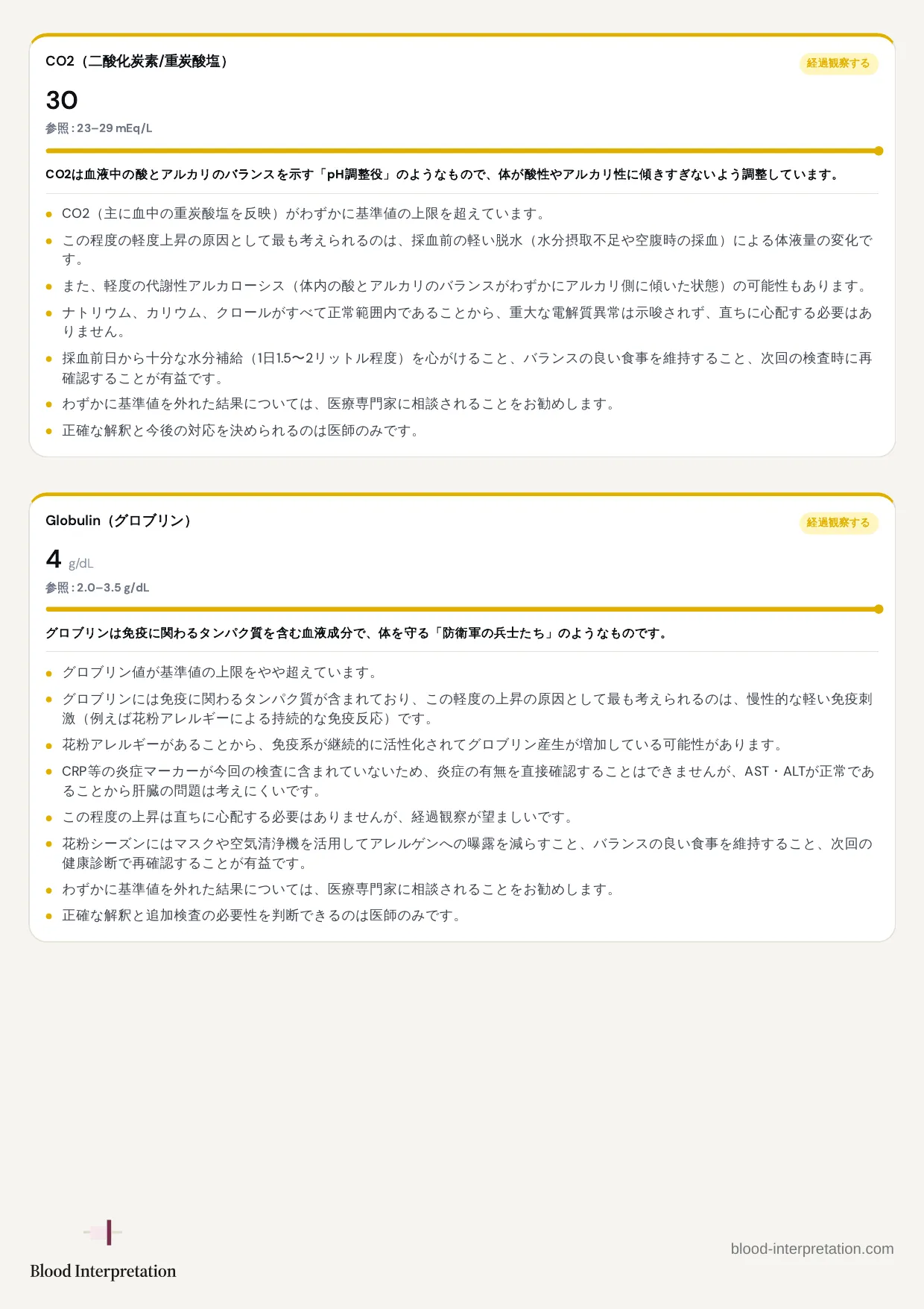 レポートの見本、20ページ中8ページ目