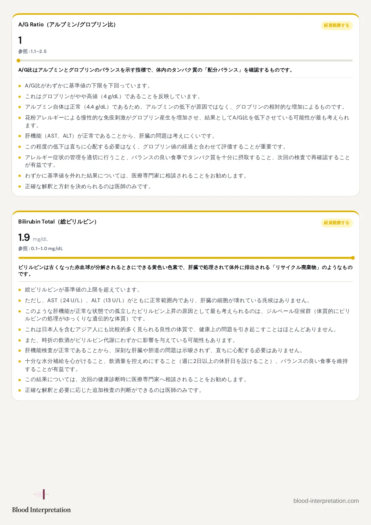 レポートの見本、20ページ中9ページ目