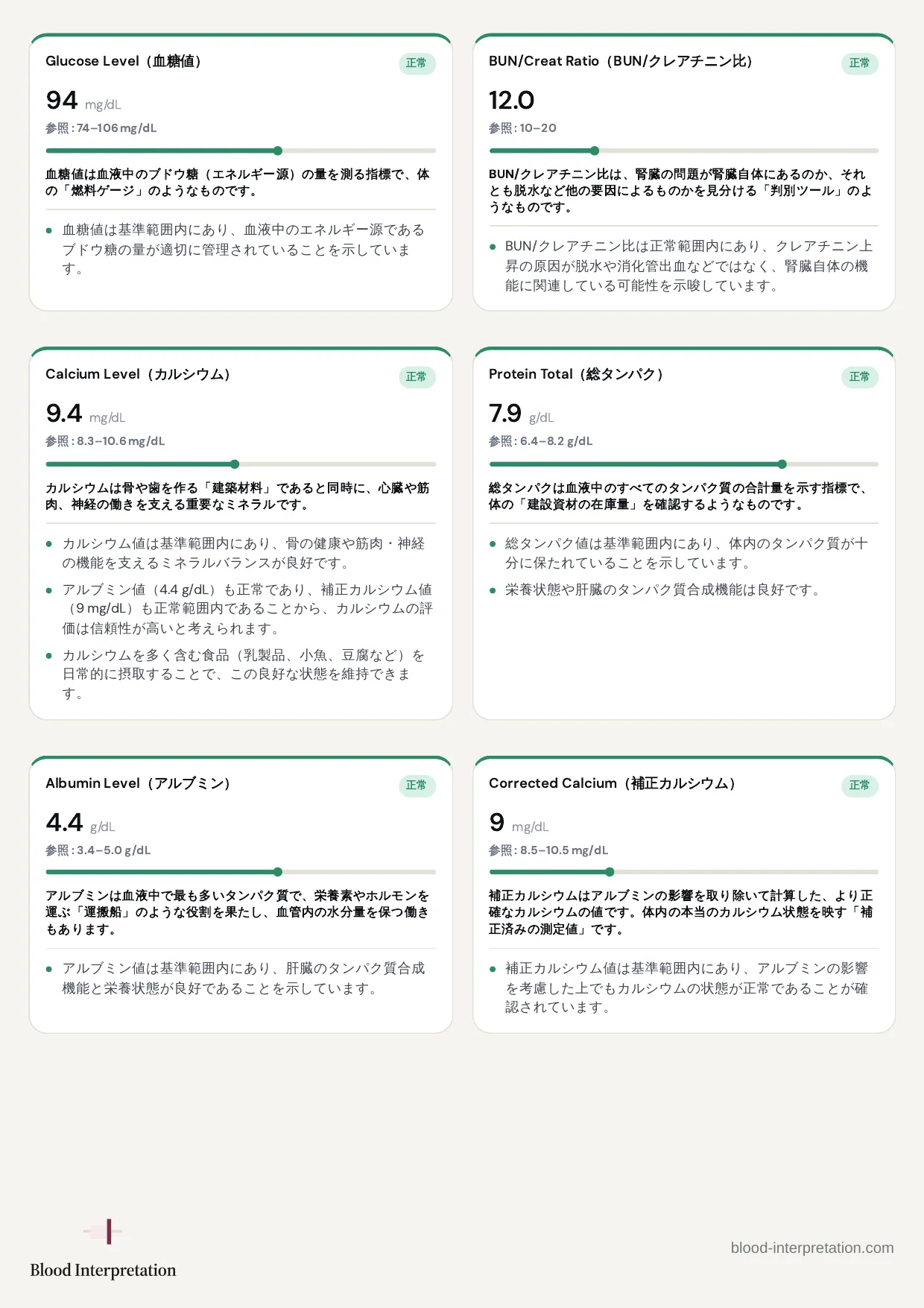 レポートの見本、20ページ中12ページ目